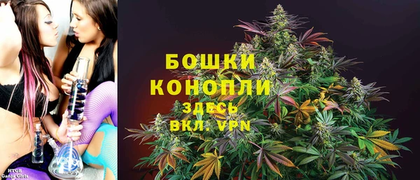 ГАЛЛЮЦИНОГЕННЫЕ ГРИБЫ Белокуриха